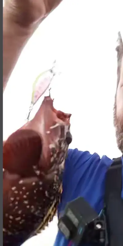 דמוי מינו צף 4 גרם 50ממ (חיקוי Ima Issen 45S)