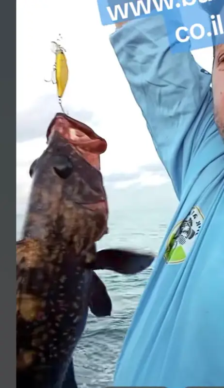 דמוי מינו צף 4 גרם 50ממ (חיקוי Ima Issen 45S)