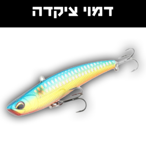 ציקדה