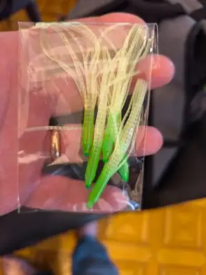 סקוויד ראש ירוק