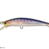 SNI Fresh Sardine