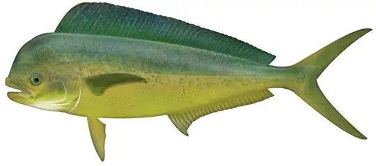 Target Fish for Fishing - or Edo