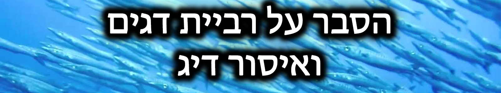 תקופת הרבייה של הדגים בישראל: חשיבות, איסורי דיג והשפעות אקולוגיות וכלכליות