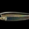 Sardine