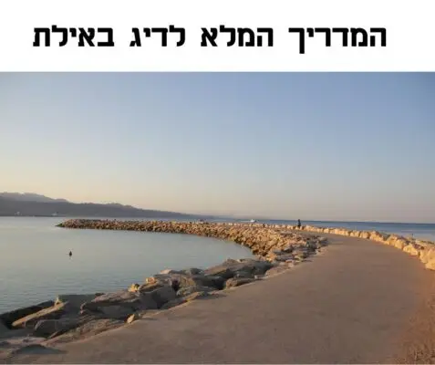 מדריך דיג באילת