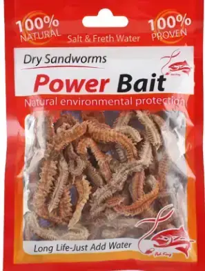 Worms Shore Dry for Fishing Dry Sandworms