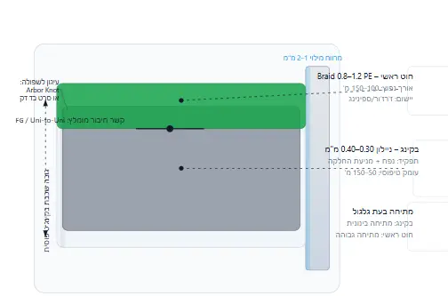 מה זה "בקינג" ברולר דיג ולמה הוא חשוב?