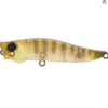 Jackson R.A Pop Lure 7g casting popper for predator saltwater fishing