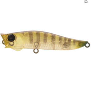 Jackson R.A Pop Lure 7g casting popper for predator saltwater fishing