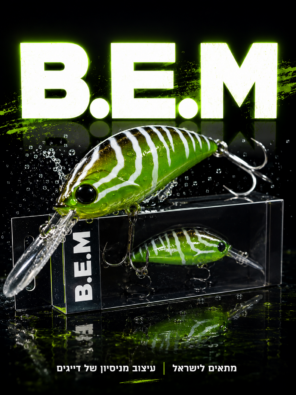 B.E.M מנומר